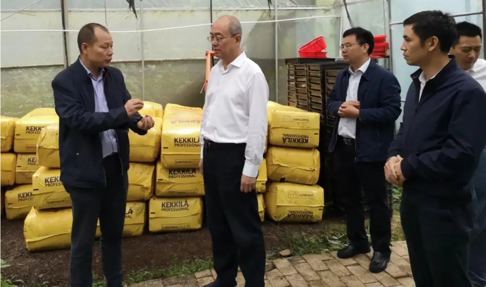 Xie Guanghua, கட்சியின் செயலாளரும், ஜியாங்சி மாகாண நிர்வாகத்தின் பாரம்பரிய சீன மருத்துவத்தின் இயக்குநருமான, அனோக்டோகிலஸ் நடவு தளத்தில் ஆராய்ச்சி நடத்துகிறார்